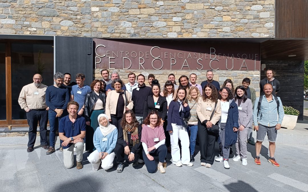 Attendance at the Water Safety Symposium on Emerging Contaminants and Water Purification in Benasque